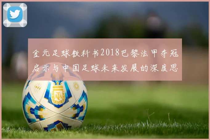金元足球教科书2018巴黎法甲夺冠启示与中国足球未来发展的深度思考
