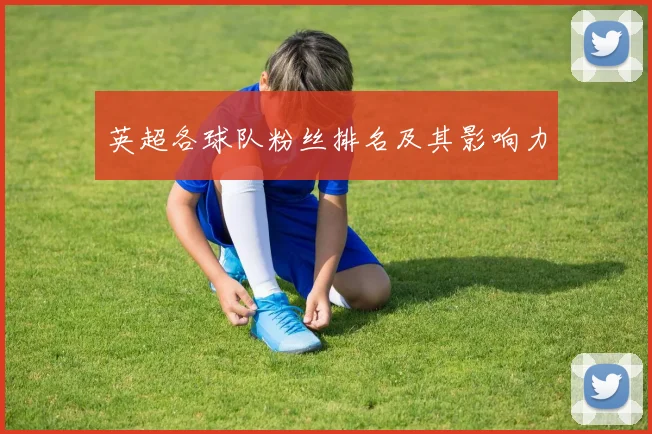 英超各球队粉丝排名及其影响力