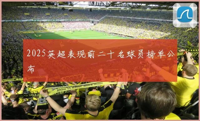 2025英超表现前二十名球员榜单公布